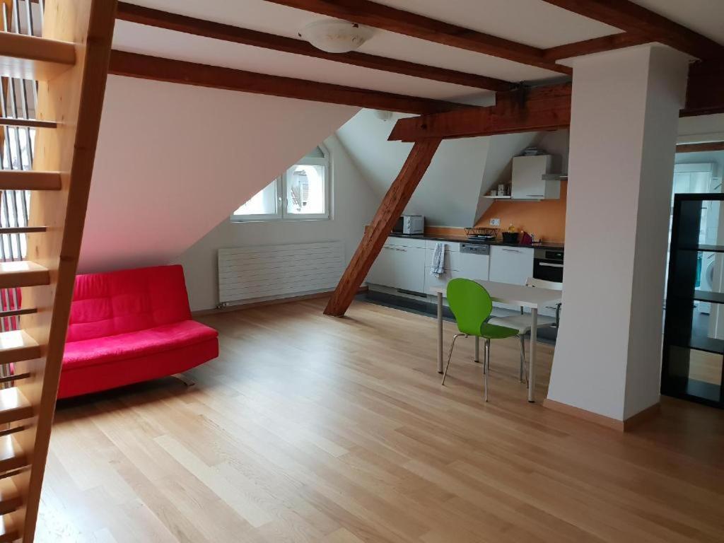 Zuerizimmer Цюрих Экстерьер фото