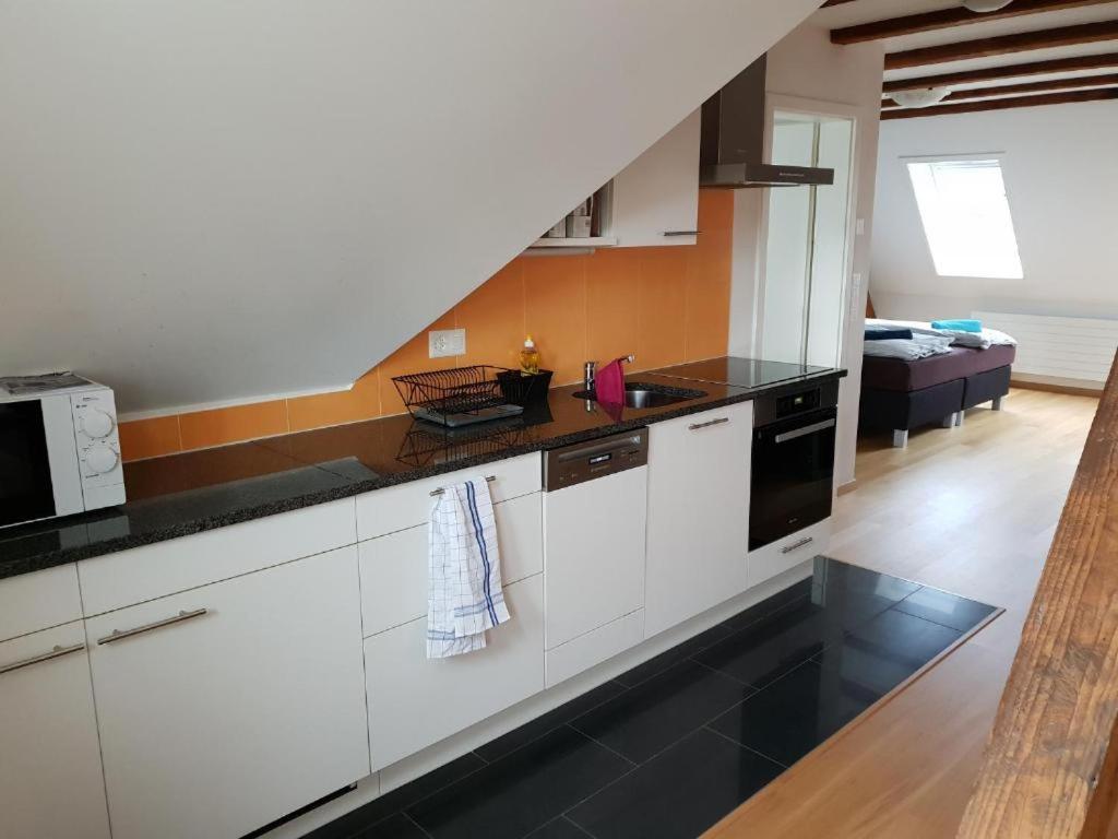 Zuerizimmer Цюрих Экстерьер фото